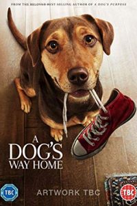 Read more about the article A Dogs Way Home Full Movie in Hindi (2019) Download | 480p (350MB) | 720p (800MB)